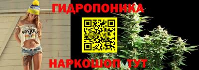 гашиш Магадан