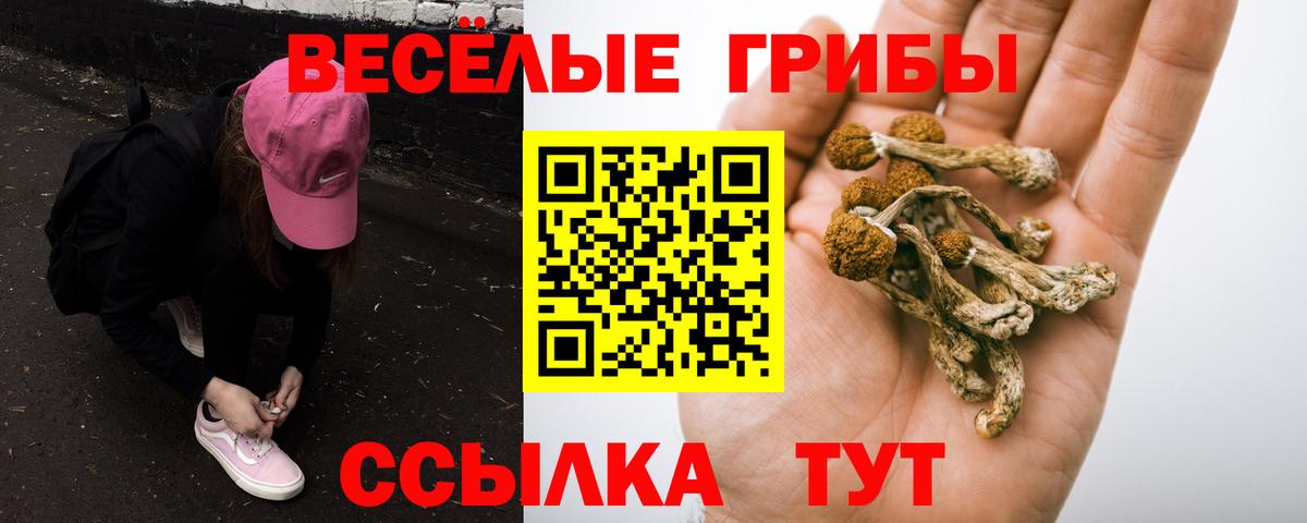 Копейск  Псилоцибиновые грибы мицелий  Вход с VPN 